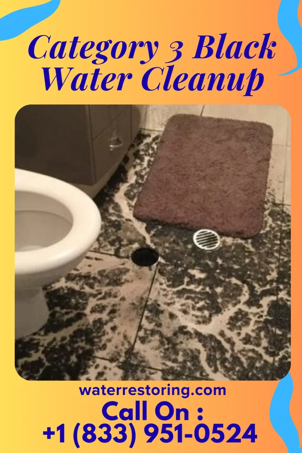 Category 3 Black Water Cleanup in Palm Springs, FL