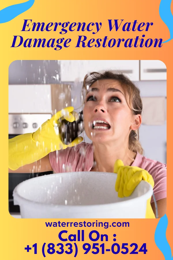 Emergency Water Damage Restoration in Palm Springs, FL