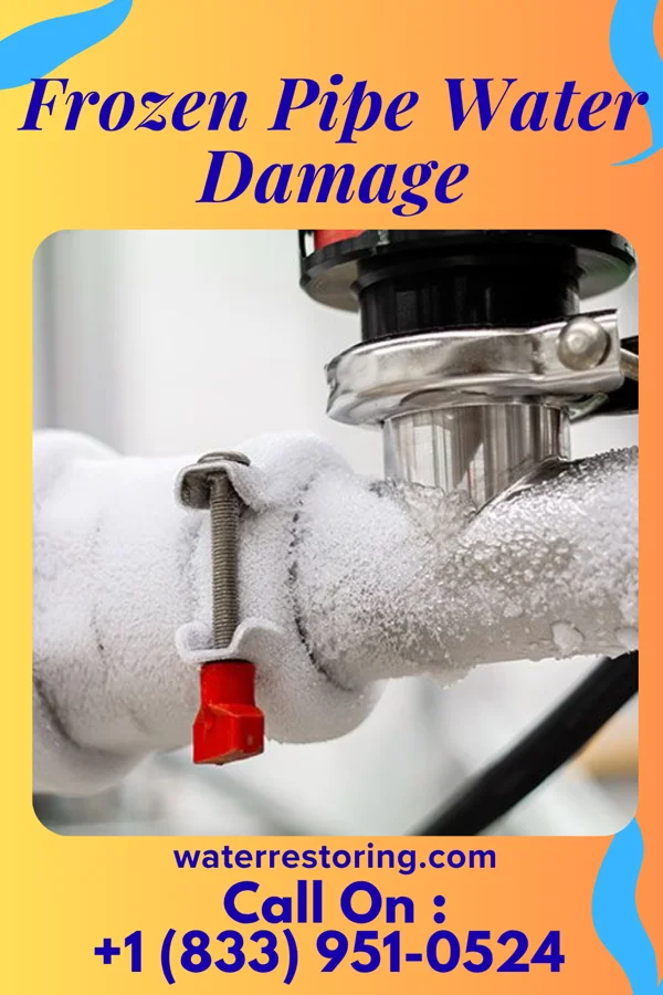 Frozen Pipe Water Damage in Palm Springs, FL