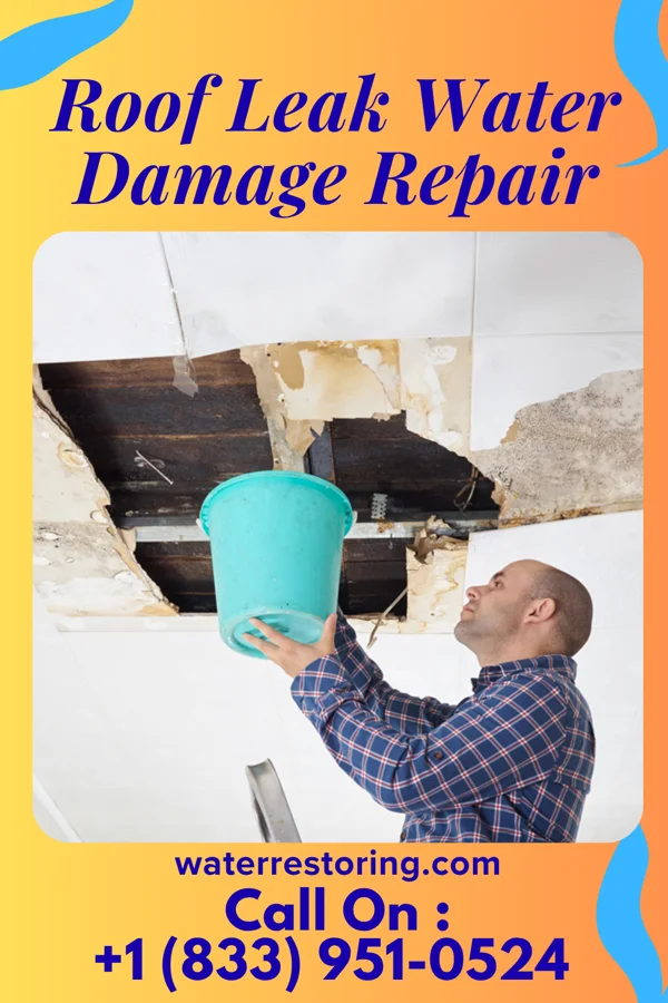 Roof Leak Water Damage Repair in Palm Springs, FL